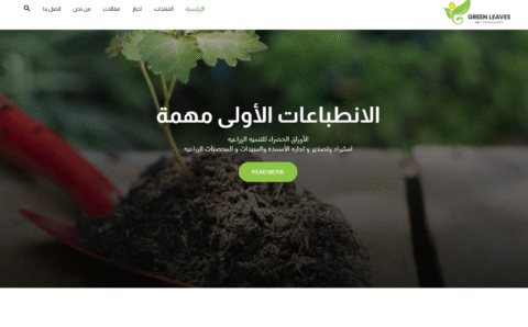 Screenshot 2025-07-08 121617